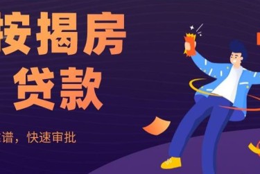 长沙望城区1大额企业贷款解决方案与策略